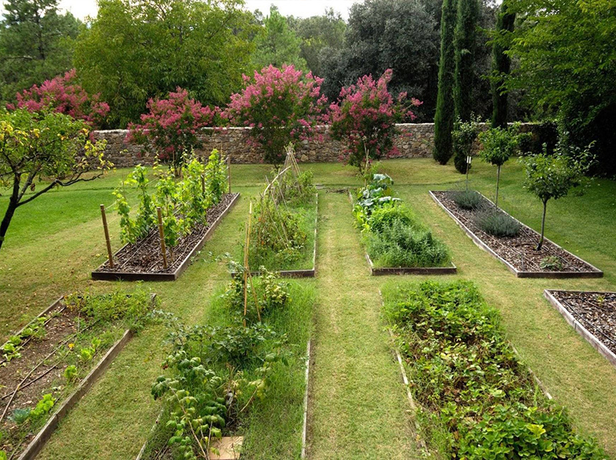Огород и сад на участке