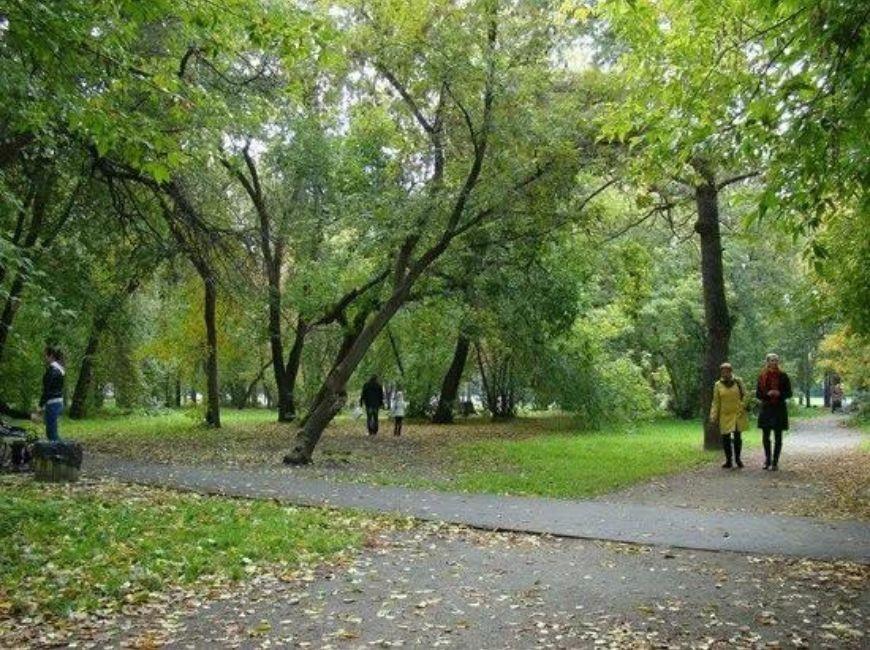 Аллеи в парке Зеленая роща