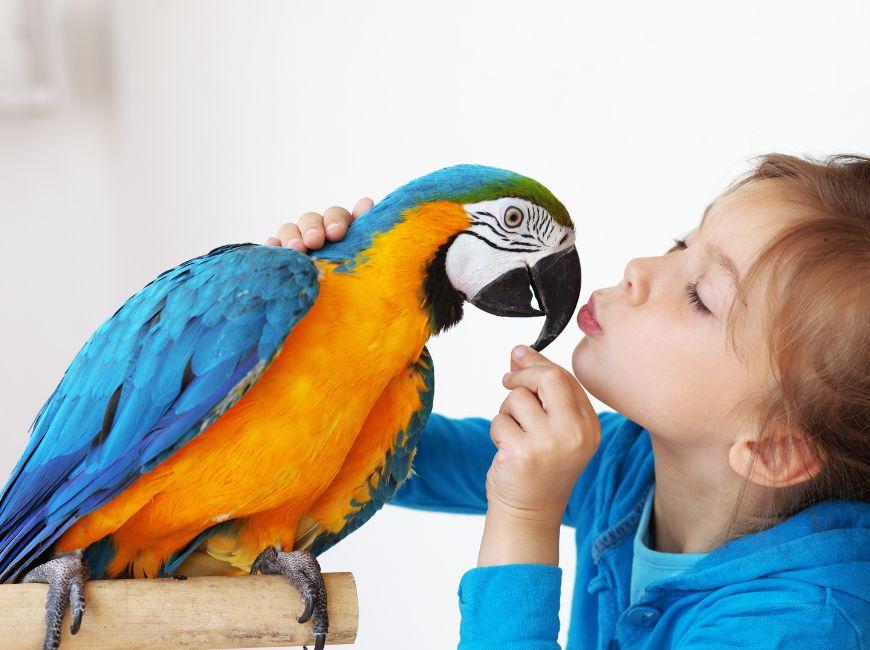 Саиые умные попугаи
