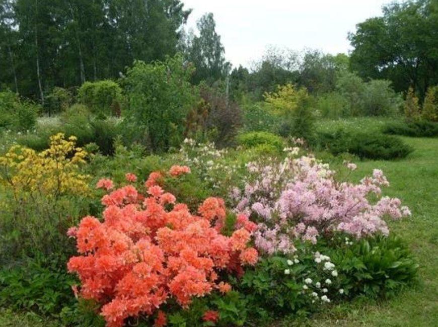 Ботанический сад в Нижнем Новгороде