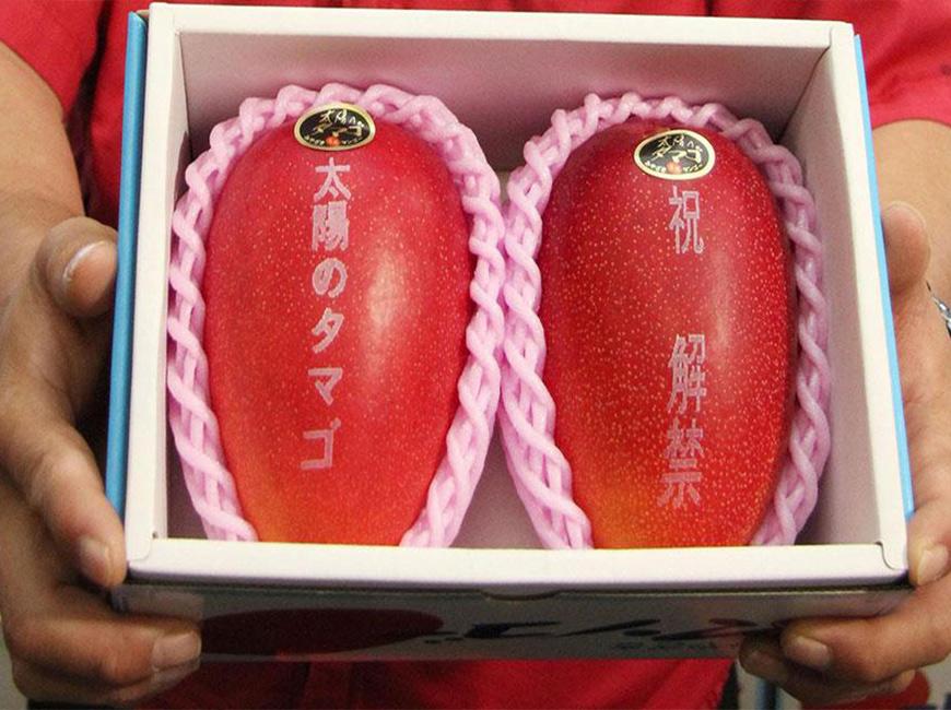 Самый дорогой фрукт в мире манго Миядзаки Яйцо Солнца